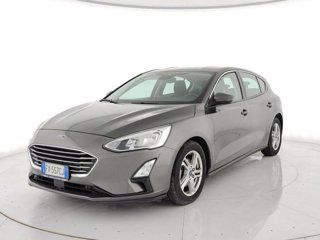 FORD Focus 1.5 ecoblue business s&s 120cv