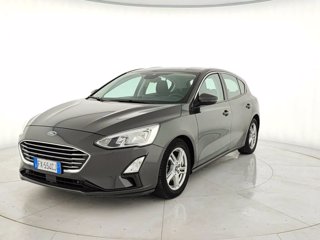 FORD Focus 1.5 ecoblue business s&s 120cv