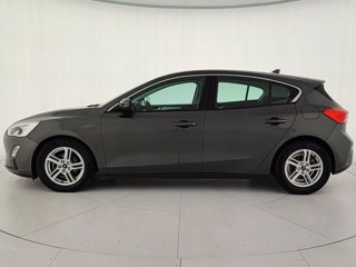 FORD Focus 1.5 ecoblue business s&s 120cv