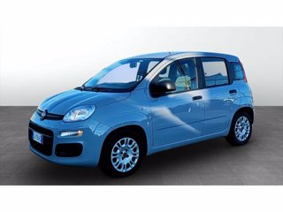 FIAT Panda 1.0 firefly hybrid sport s&s 70cv