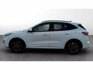 FORD Kuga 1.5 ecoboost st-line 2wd 150cv