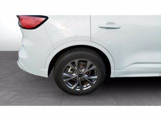 FORD Kuga 1.5 ecoboost st-line 2wd 150cv