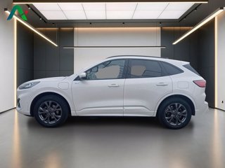 FORD Kuga 2.5 phev st-line x 2wd 225cv cvt