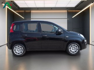 FIAT Pandina 1.0 firefly hybrid pop s&s 65cv