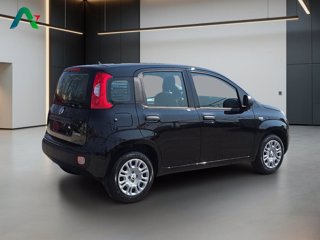 FIAT Pandina 1.0 firefly hybrid pop s&s 65cv