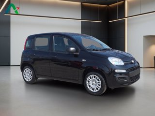 FIAT Pandina 1.0 firefly hybrid pop s&s 65cv