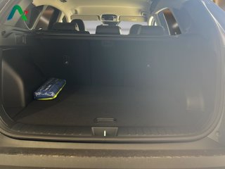 HYUNDAI Tucson 1.6 hev exellence 2wd 239cv auto