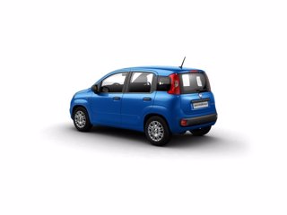 FIAT Pandina 1.0 firefly hybrid pop s&s 65cv
