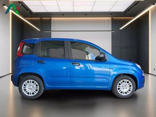 FIAT Pandina 1.0 firefly hybrid pop s&s 65cv