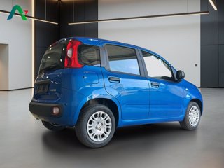 FIAT Pandina 1.0 firefly hybrid pop s&s 65cv