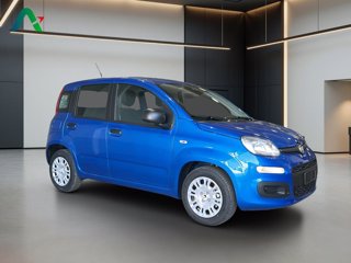 FIAT Pandina 1.0 firefly hybrid pop s&s 65cv