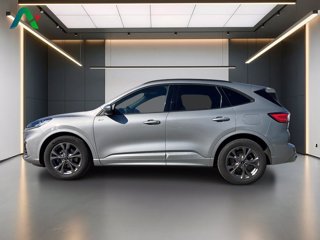 FORD Kuga 2.0 ecoblue st-line x 2wd 120cv auto