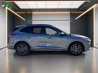 FORD Kuga 2.0 ecoblue st-line x 2wd 120cv auto