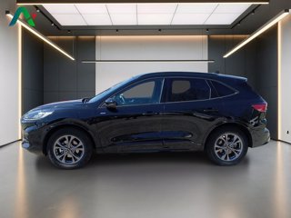 FORD Kuga 2.5 phev st-line x 2wd 225cv cvt