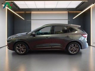 FORD Kuga 1.5 ecoblue st-line 2wd 120cv