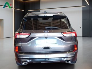 FORD Kuga 1.5 ecoblue st-line 2wd 120cv