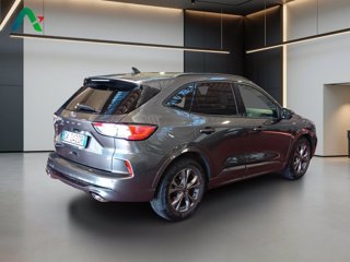 FORD Kuga 1.5 ecoblue st-line 2wd 120cv