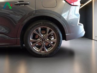 FORD Kuga 1.5 ecoblue st-line 2wd 120cv