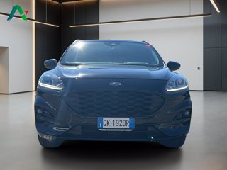 FORD Kuga 1.5 ecoblue st-line 2wd 120cv auto