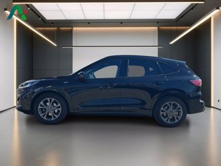 FORD Kuga 1.5 ecoblue st-line 2wd 120cv auto