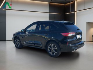 FORD Kuga 1.5 ecoblue st-line 2wd 120cv auto