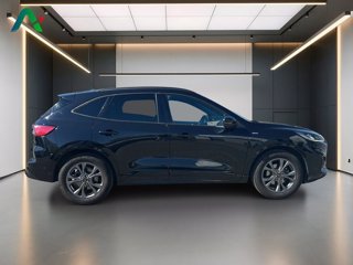 FORD Kuga 1.5 ecoblue st-line 2wd 120cv auto