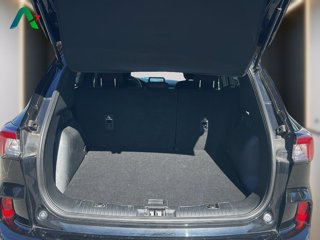 FORD Kuga 1.5 ecoblue st-line 2wd 120cv auto