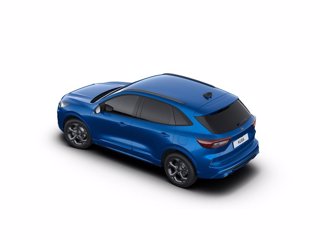 FORD Kuga 2.5 full hybrid st-line 2wd 180cv auto