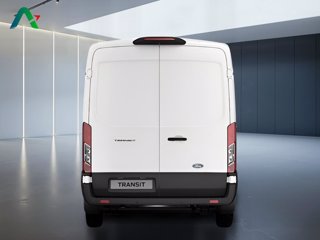 FORD Transit 350 fwd 2.0 ecoblue 130cv trend l2h2