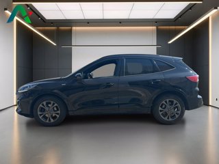 FORD Kuga 2.0 ecoblue mhev st-line x 2wd 150cv