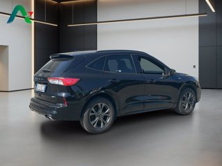 FORD Kuga 2.0 ecoblue mhev st-line x 2wd 150cv