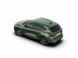 FORD Kuga 2.5 full hybrid st-line 2wd 180cv auto