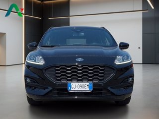 FORD Kuga 1.5 ecoblue st-line 2wd 120cv