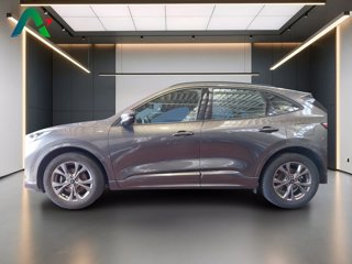 FORD Kuga 1.5 ecoblue st-line 2wd 120cv auto