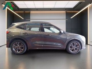 FORD Kuga 1.5 ecoblue st-line 2wd 120cv auto