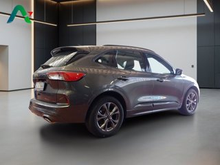 FORD Kuga 1.5 ecoblue st-line 2wd 120cv auto