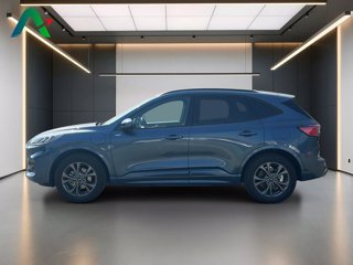 FORD Kuga 2.5 phev st-line 2wd 225cv cvt