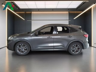 FORD Kuga 1.5 ecoblue st-line 2wd 120cv