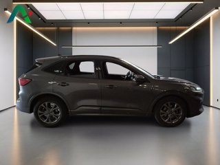 FORD Kuga 1.5 ecoblue st-line 2wd 120cv