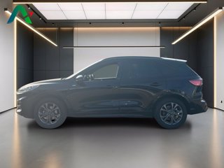 FORD Kuga 2.5 full hybrid st-line x awd 190cv cvt