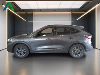 FORD Kuga 2.5 phev st-line 2wd 225cv cvt