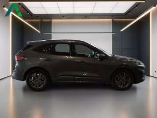 FORD Kuga 1.5 ecoblue st-line 2wd 120cv
