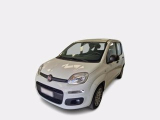 FIAT Panda 1.2 easy s&s 69cv my19