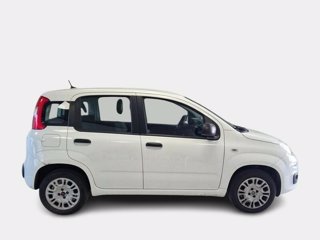 FIAT Panda 1.2 easy s&s 69cv my19