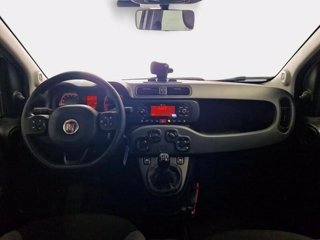 FIAT Panda 1.2 easy s&s 69cv my19
