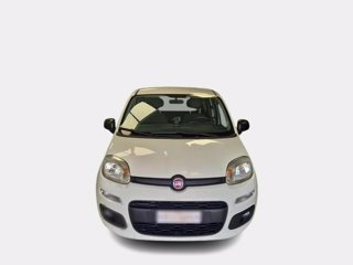 FIAT Panda 1.2 easy s&s 69cv my19