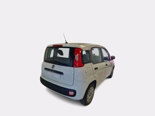 FIAT Panda 1.2 easy s&s 69cv my19
