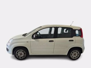 FIAT Panda 1.2 easy s&s 69cv my19