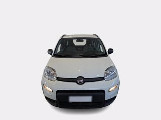 FIAT Panda 1.0 firefly hybrid city life s&s 70cv
