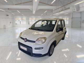 FIAT Panda 1.0 firefly hybrid city life s&s 70cv